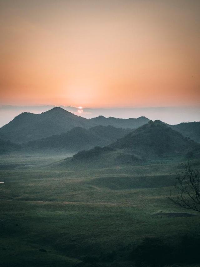 家森林公园, entit, yid